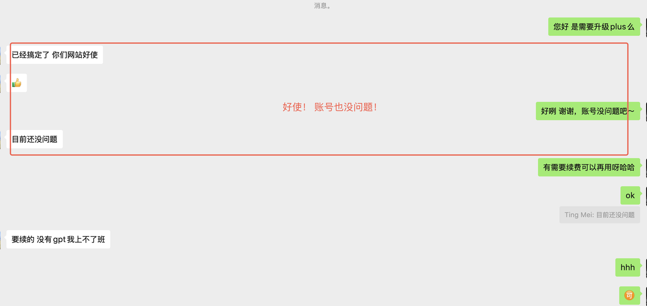 微信聊天截图:用户反馈网站好用、账号目前没有问题,并表达续费意愿