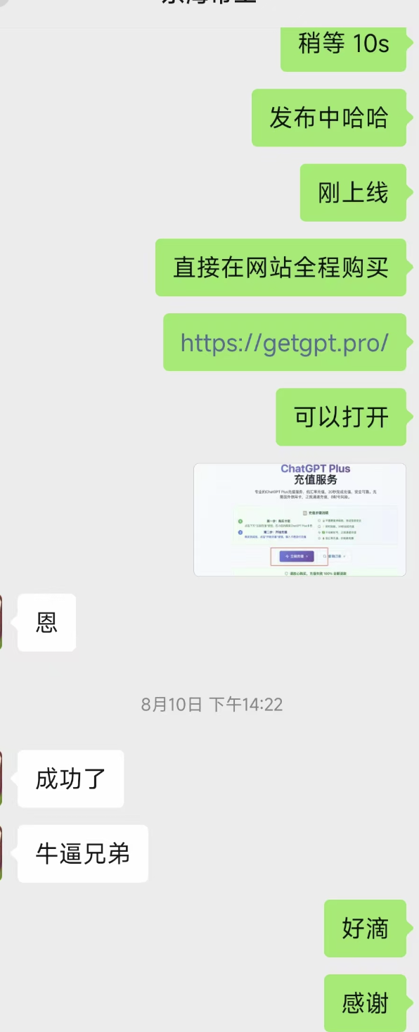 微信聊天截图:客服引导通过网站购买,用户反馈充值成功